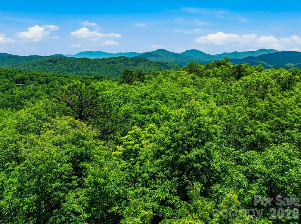 999 Miller Cove Road Black Mountain, NC 28711