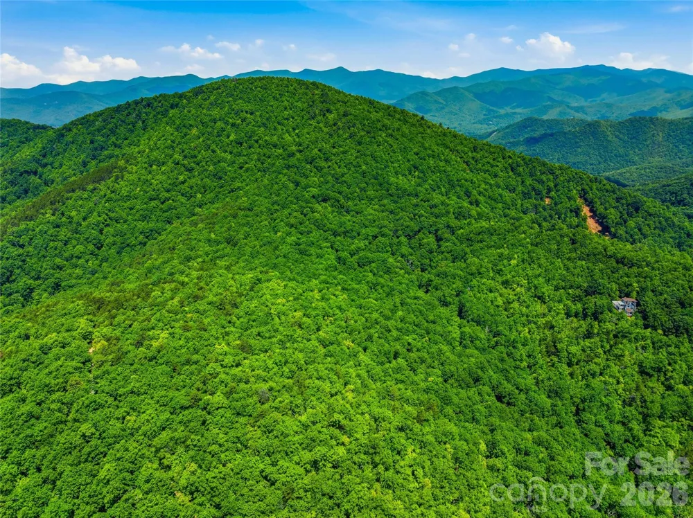 999 Miller Cove Road Black Mountain, NC 28711