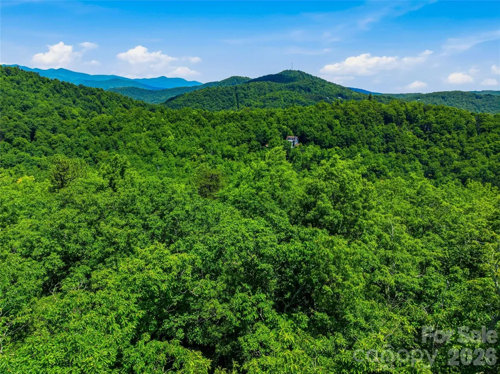 999 Miller Cove Road Black Mountain, NC 28711