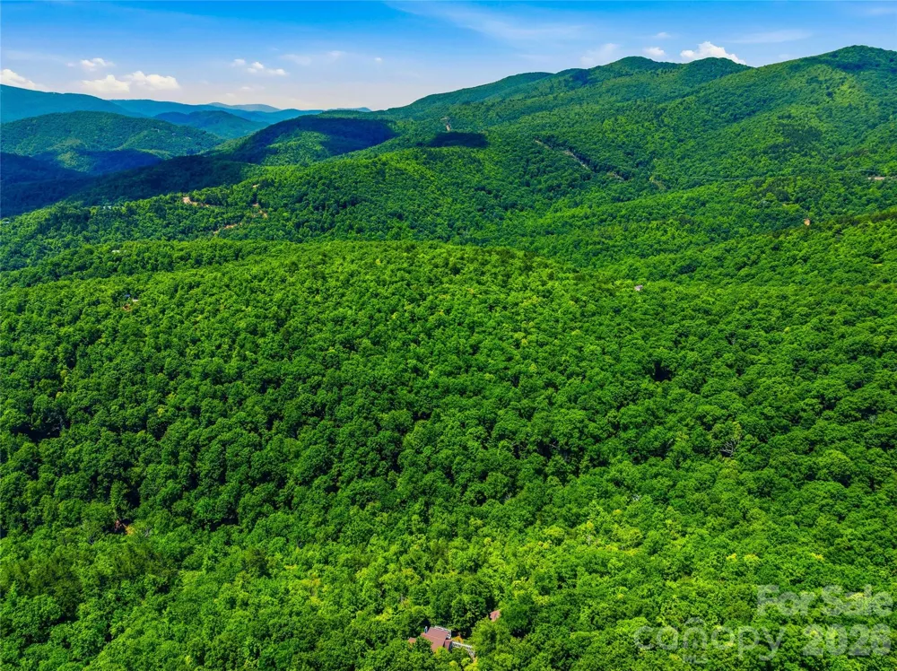 999 Miller Cove Road Black Mountain, NC 28711