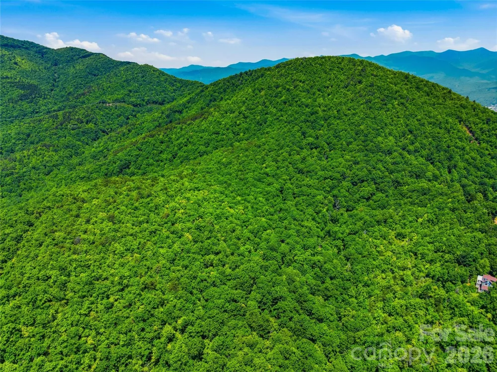 999 Miller Cove Road Black Mountain, NC 28711