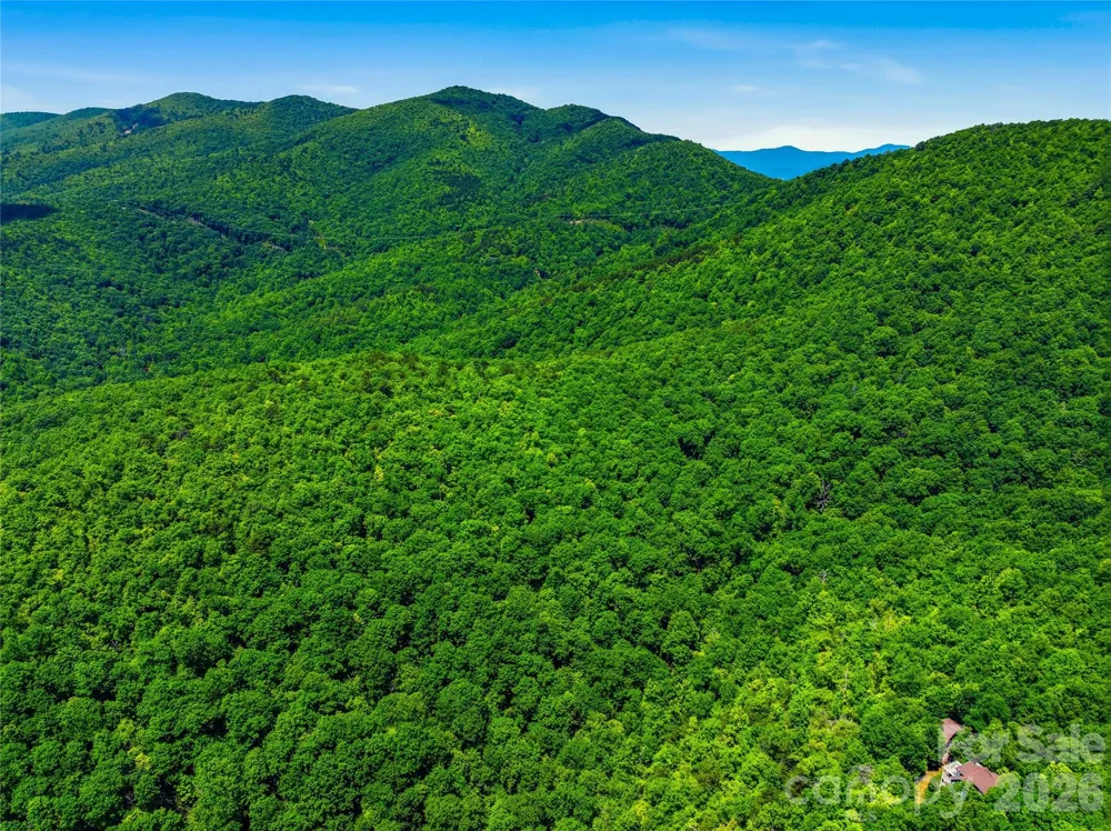 999 Miller Cove Road Black Mountain, NC 28711
