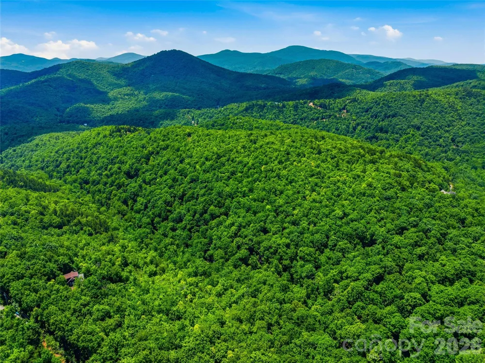 999 Miller Cove Road Black Mountain, NC 28711