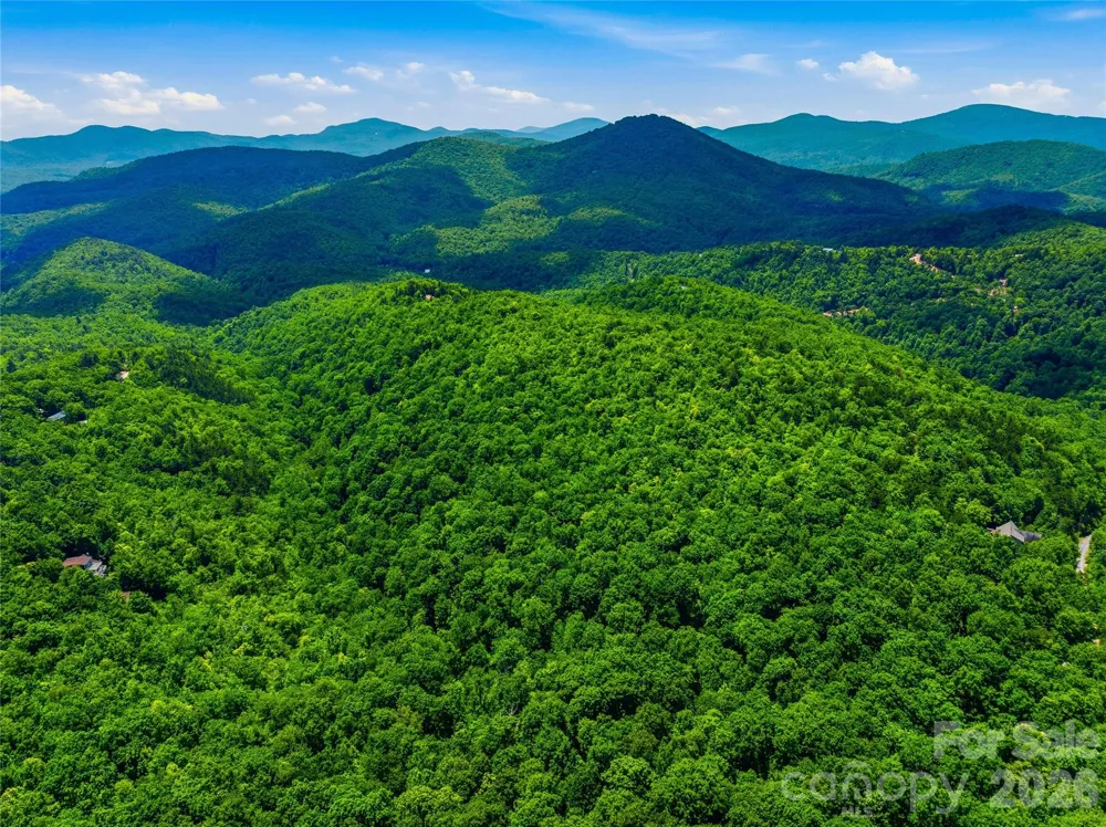 999 Miller Cove Road Black Mountain, NC 28711