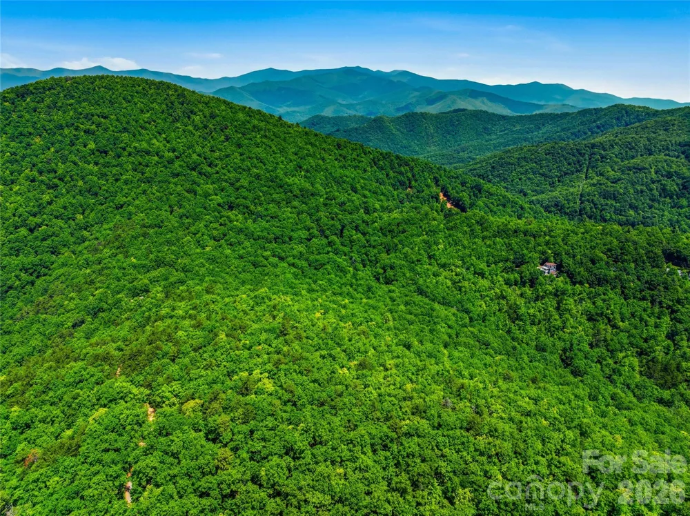 999 Miller Cove Road Black Mountain, NC 28711