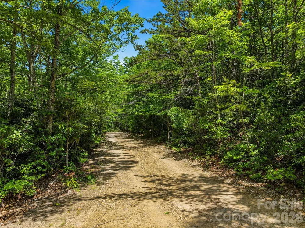 999 Miller Cove Road Black Mountain, NC 28711