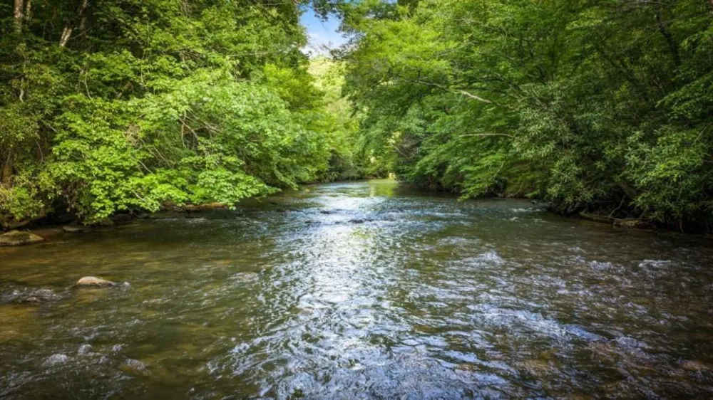 44 Magnolia Trail McCaysville, GA 30555
