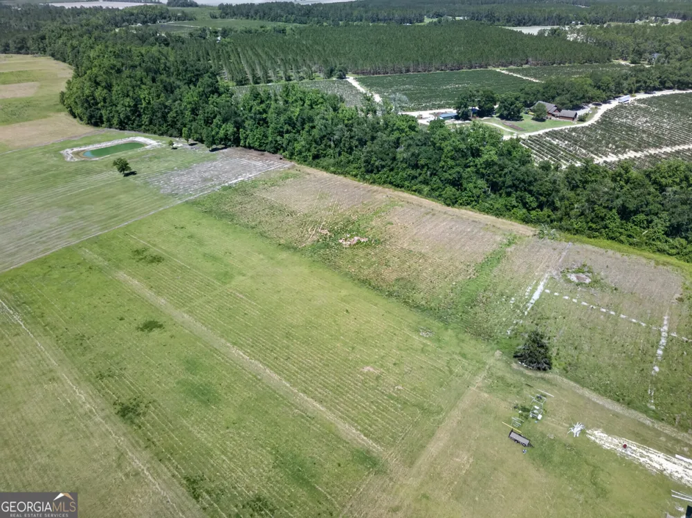 3690 HWY 121 N Blackshear, GA 31516