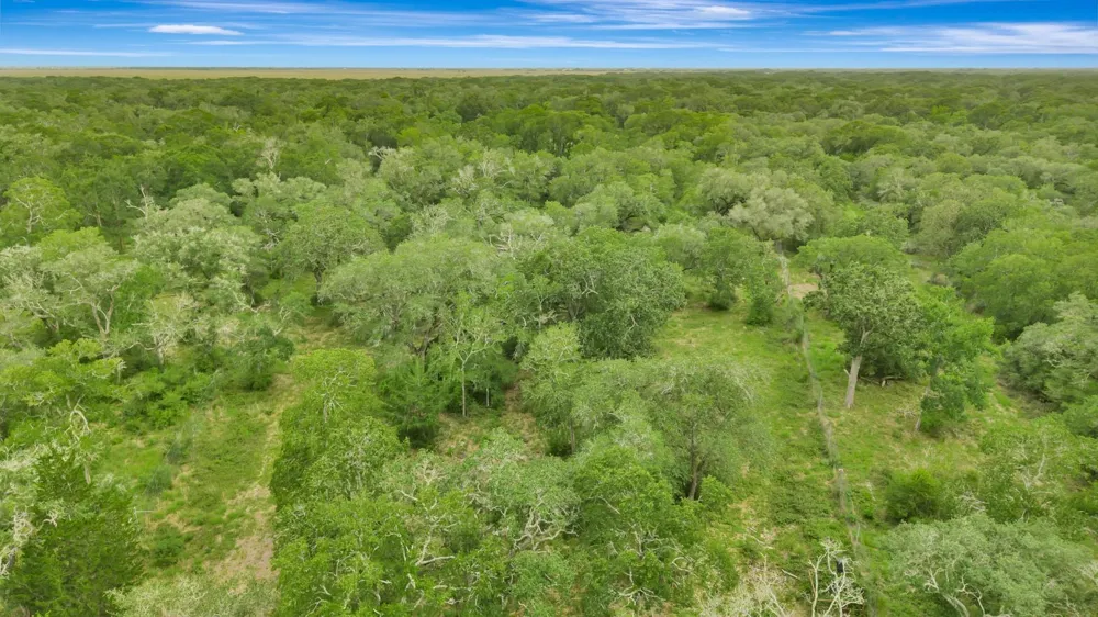 4600 Fm 1862 Road Palacios, TX 77465