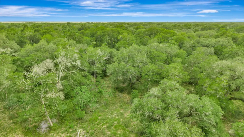 4600 Fm 1862 Road Palacios, TX 77465