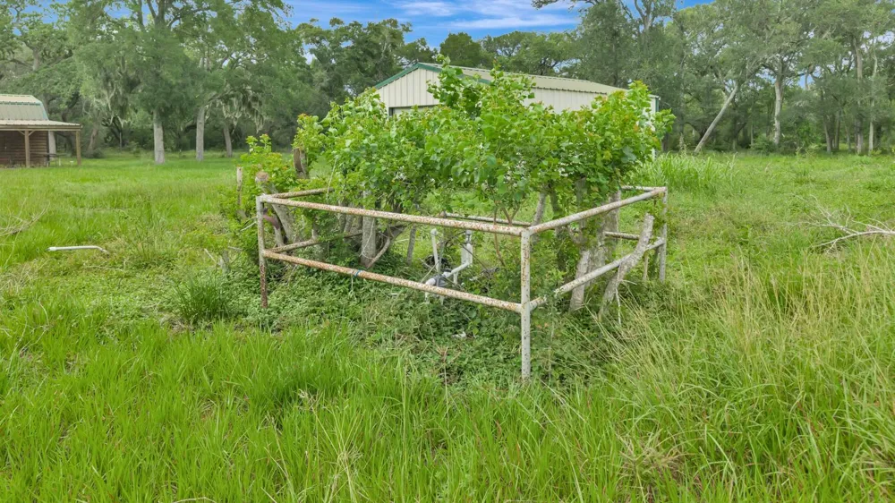 4600 Fm 1862 Road Palacios, TX 77465