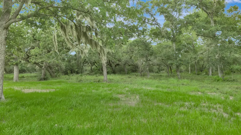 4600 Fm 1862 Road Palacios, TX 77465