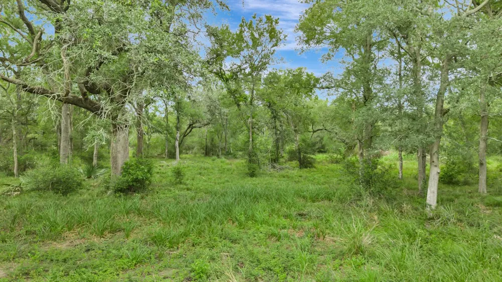 4600 Fm 1862 Road Palacios, TX 77465