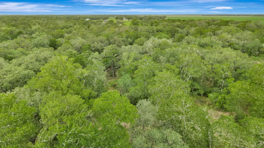 4600 Fm 1862 Road Palacios, TX 77465