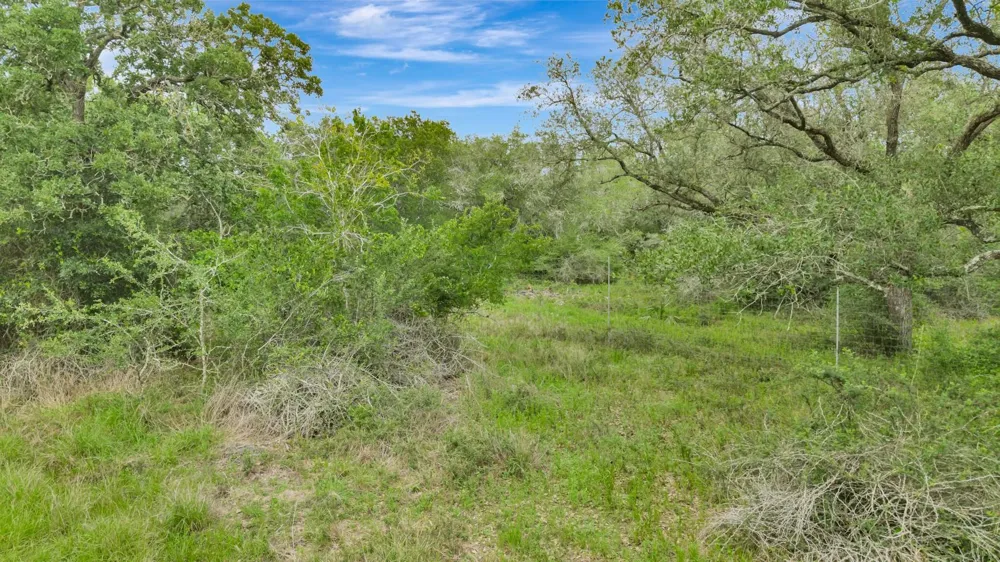 4600 Fm 1862 Road Palacios, TX 77465