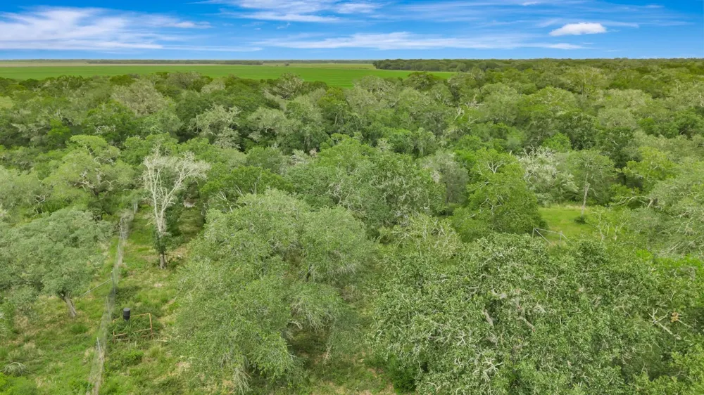 4600 Fm 1862 Road Palacios, TX 77465
