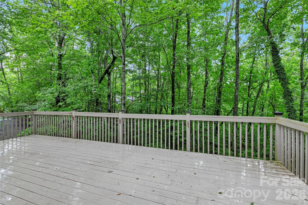 56 Guque Court Brevard, NC 28712