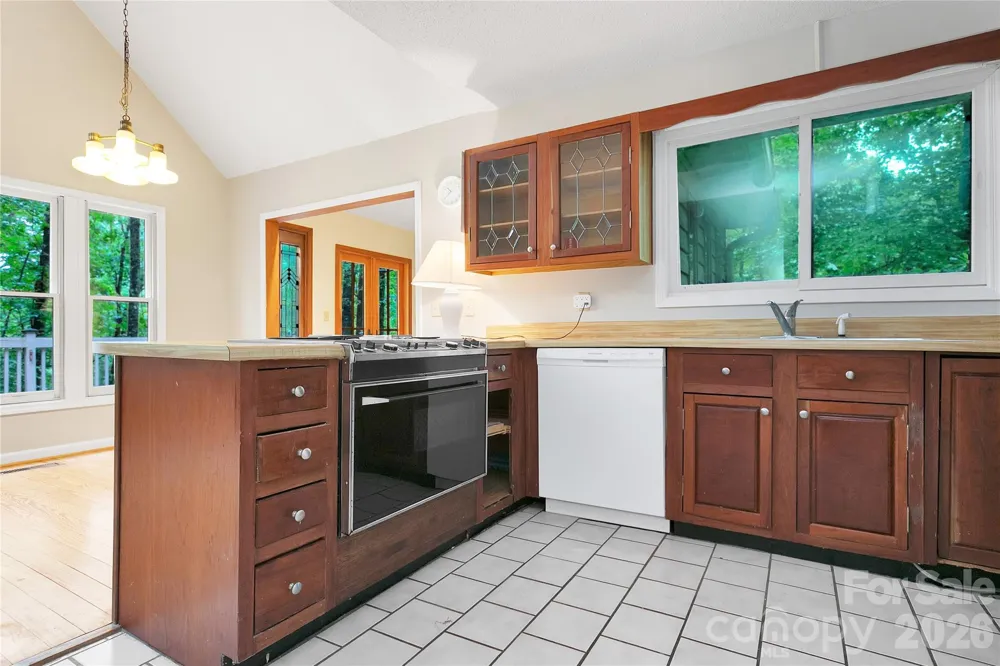 56 Guque Court Brevard, NC 28712
