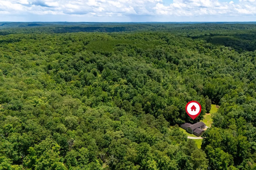 1791 Deer Creek Rd Linden, TN 37096