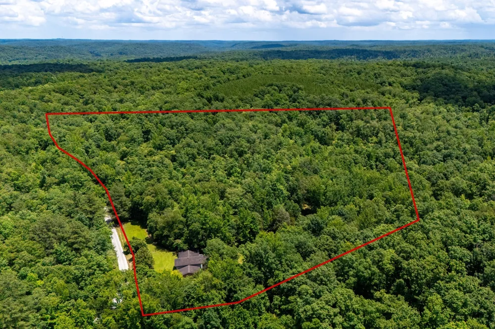 1791 Deer Creek Rd Linden, TN 37096