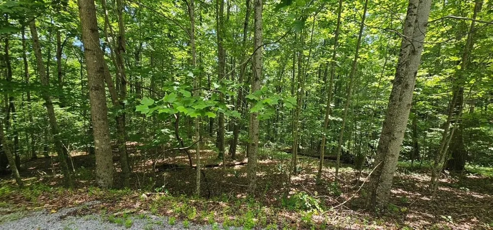 555 Oak Leaf Lane Dunlap, TN 37327