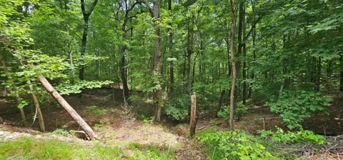 555 Oak Leaf Lane