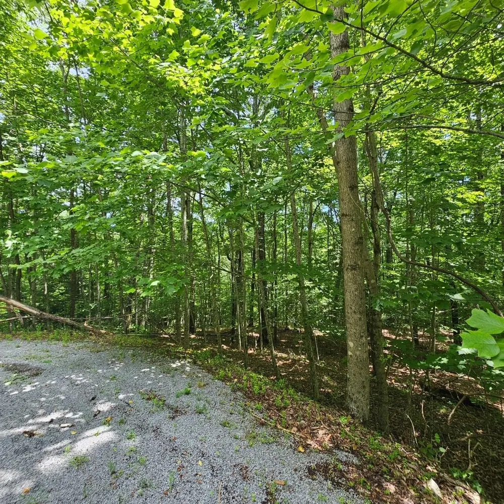555 Oak Leaf Lane Dunlap, TN 37327
