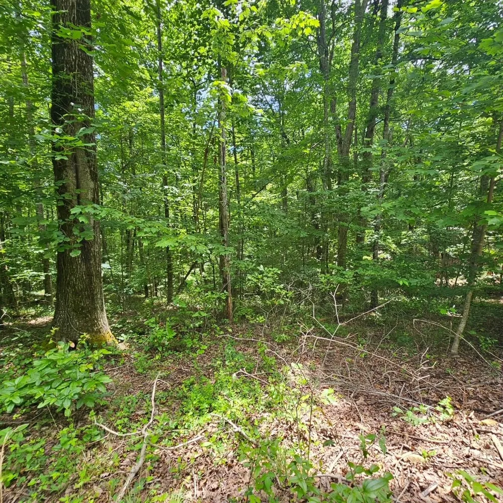 555 Oak Leaf Lane Dunlap, TN 37327