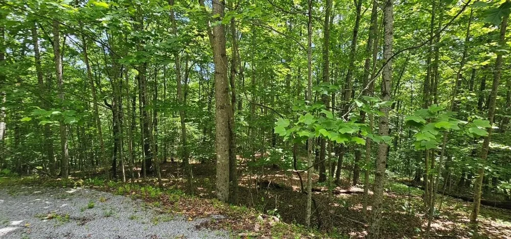 555 Oak Leaf Lane Dunlap, TN 37327