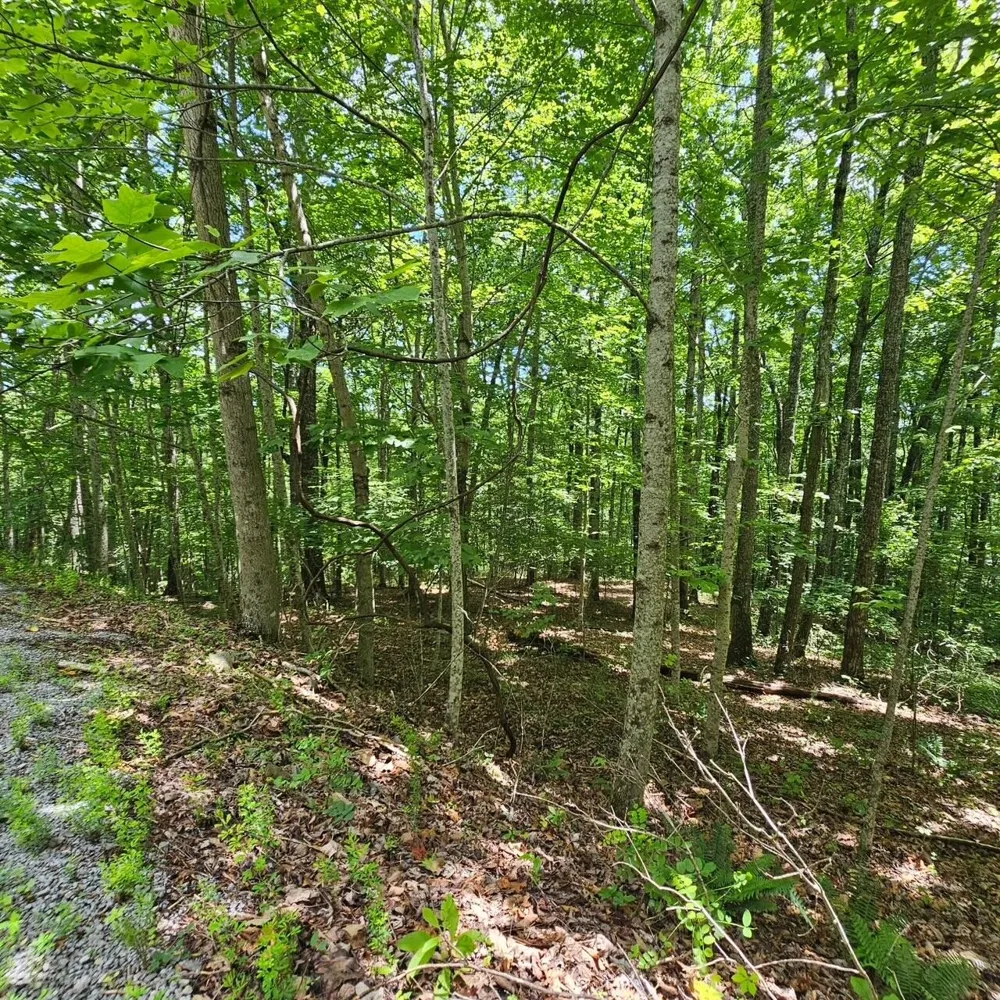 555 Oak Leaf Lane Dunlap, TN 37327