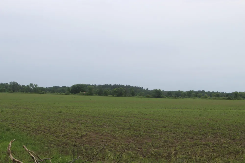 1021 120th Avenue Ogilvie, MN 56358