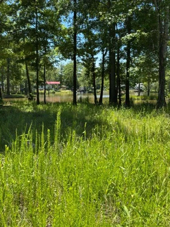 LOT 6 COUNTY ROAD 182 Cedar Bluff, AL 35959