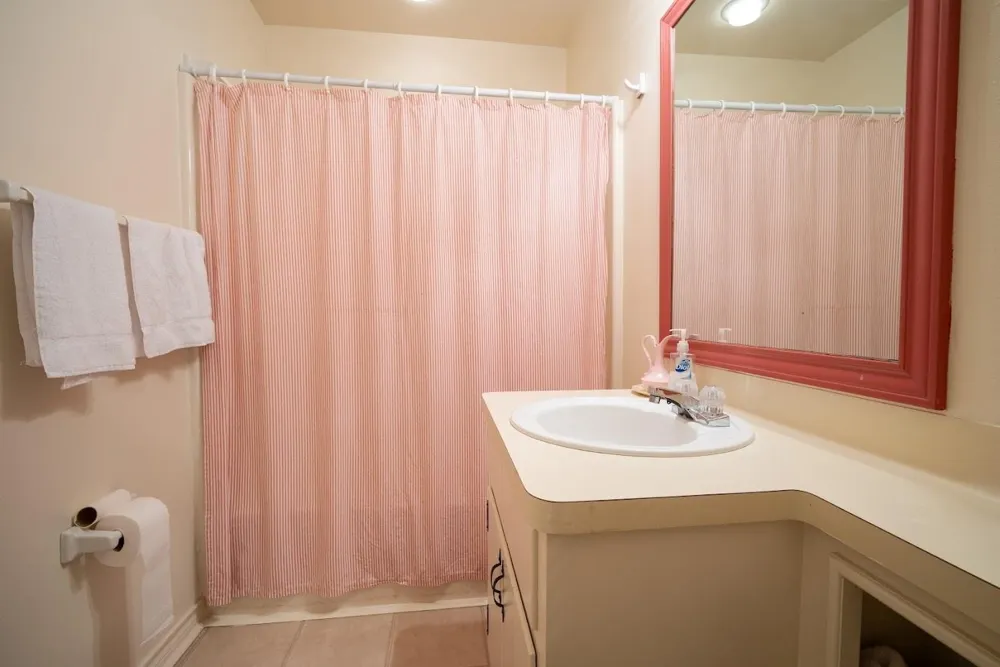 565 Timber Bay Drive Trinity, TX 75862
