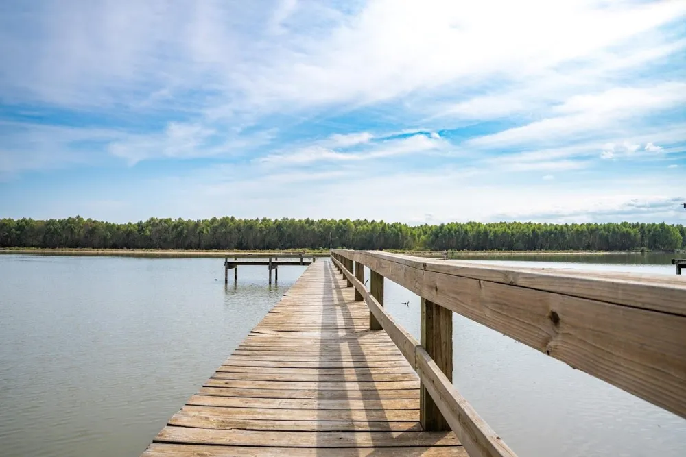 565 Timber Bay Drive Trinity, TX 75862