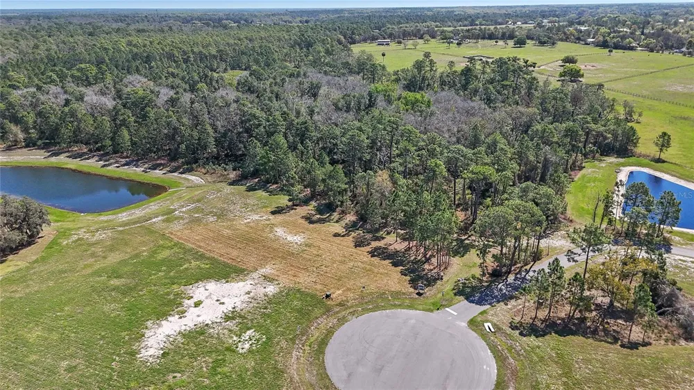 20280 SHORELINE RANCH LANE Umatilla, FL 32784