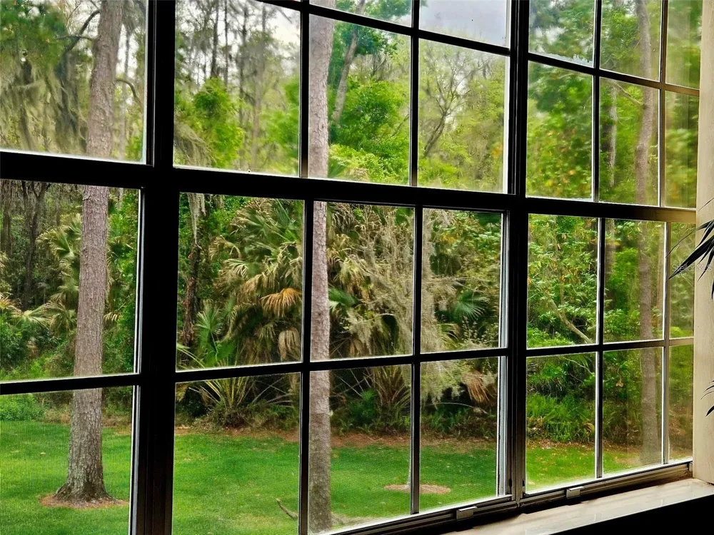 3612 PINE KNOT DRIVE Valrico, FL 33596