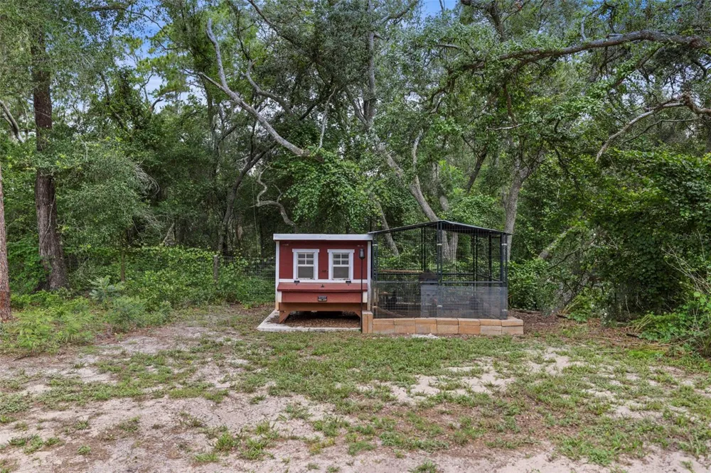 7218 SOUTHEAST AVENUE Webster, FL 33597