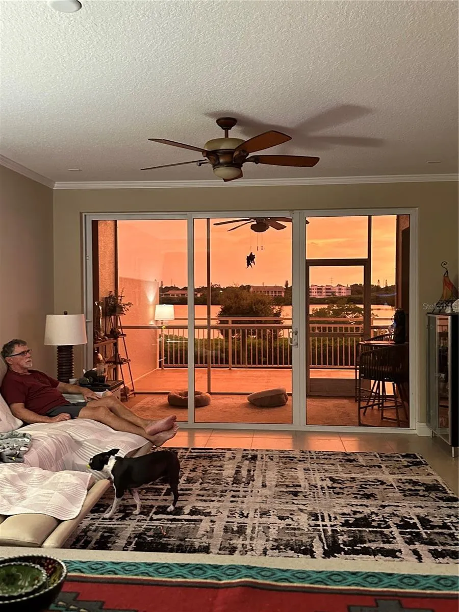 10002 KEY HAVEN ROAD #204 Seminole, FL 33777