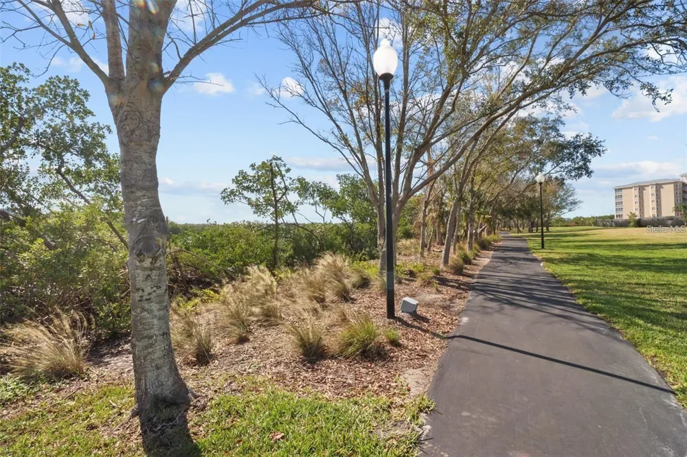 10002 KEY HAVEN ROAD #204 Seminole, FL 33777
