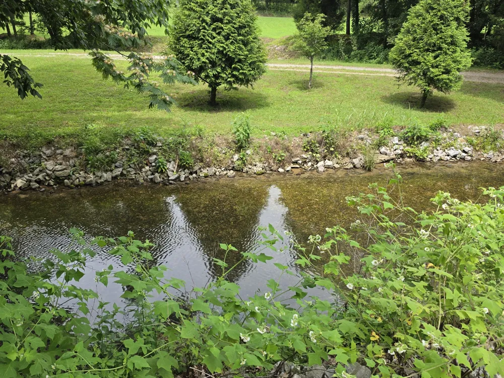 448 Osage Ln Bradyville, TN 37026