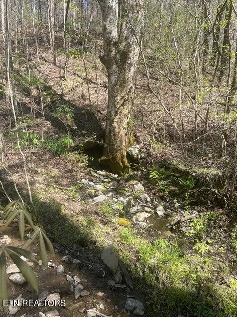 1 Old Furnace Rd