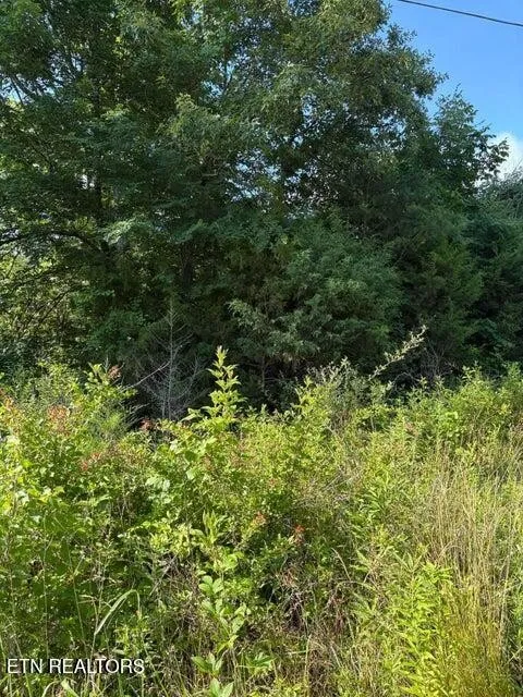 6 Old Furnace Rd