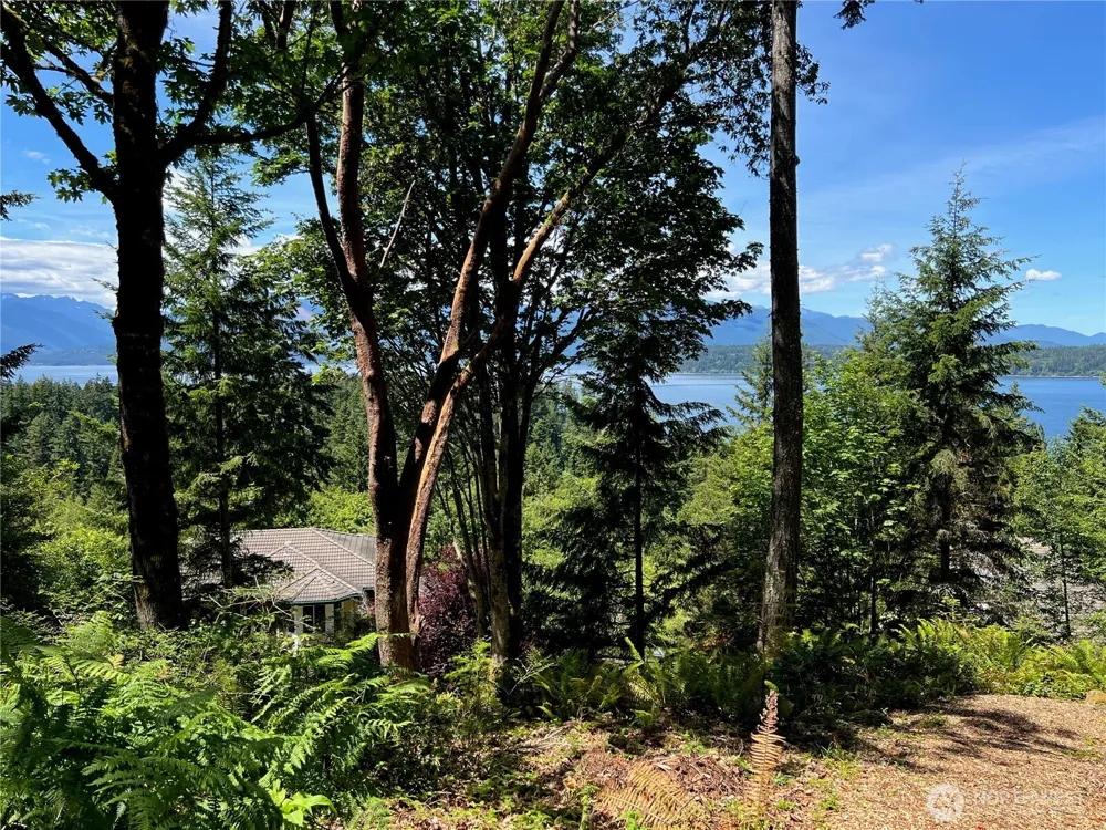 0 Twin Brooks Lane NW Silverdale, WA 98383