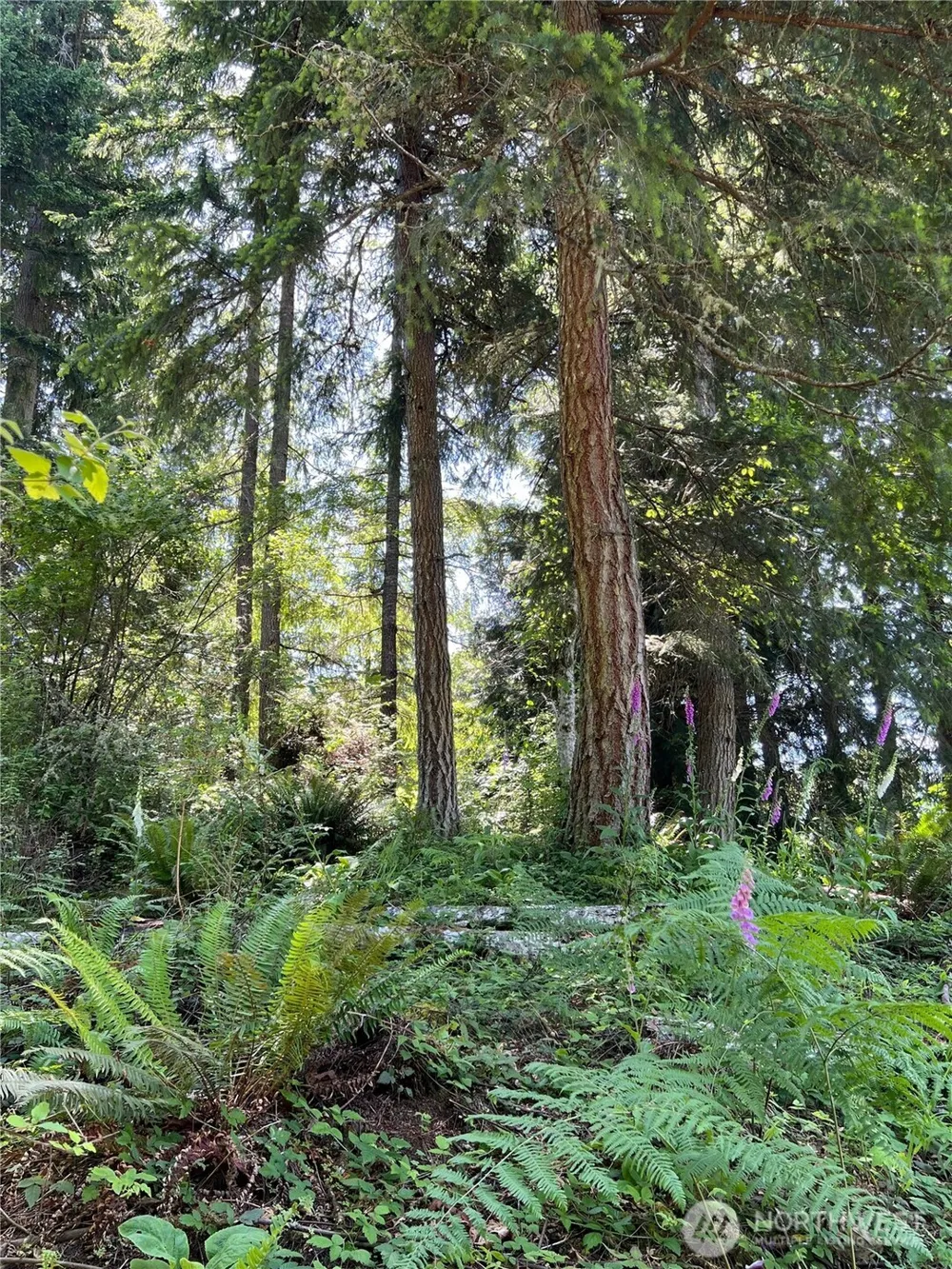 0 Twin Brooks Lane NW Silverdale, WA 98383