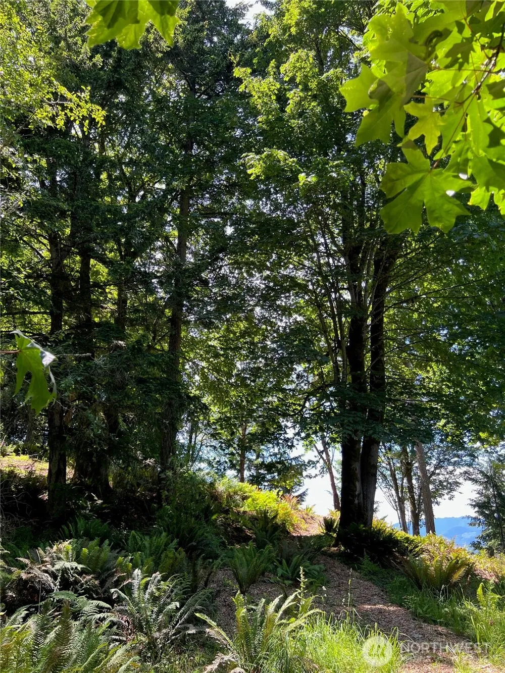 0 Twin Brooks Lane NW Silverdale, WA 98383