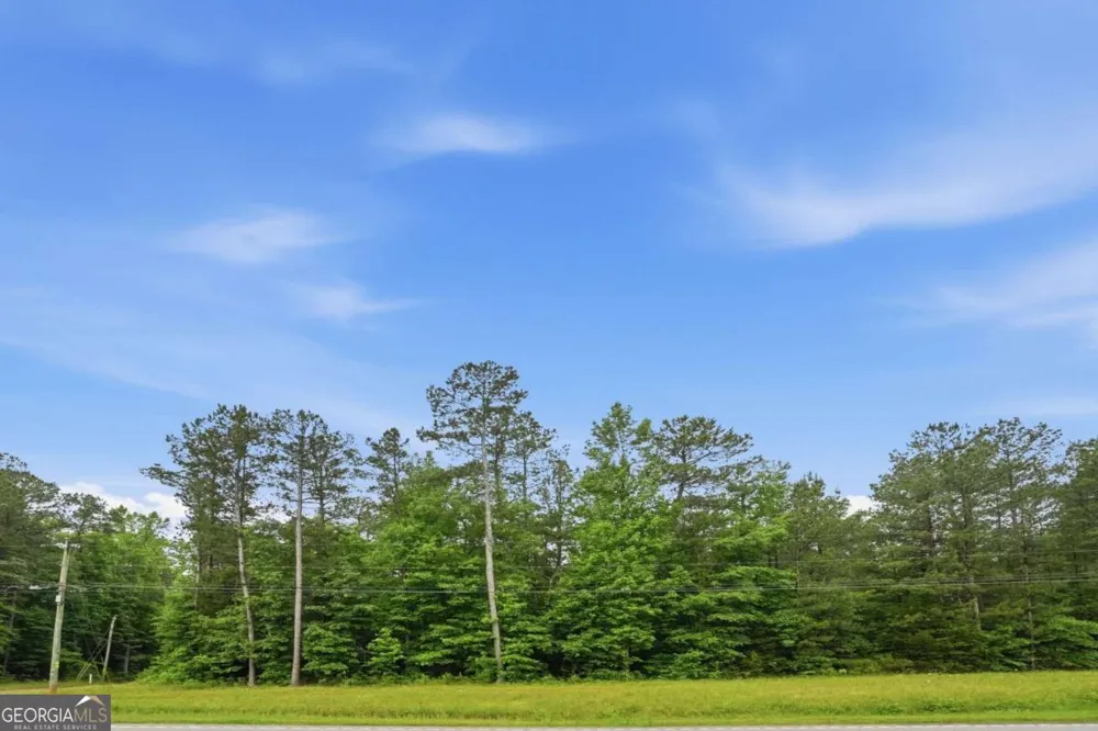 2907 Highway Covington, GA 30016