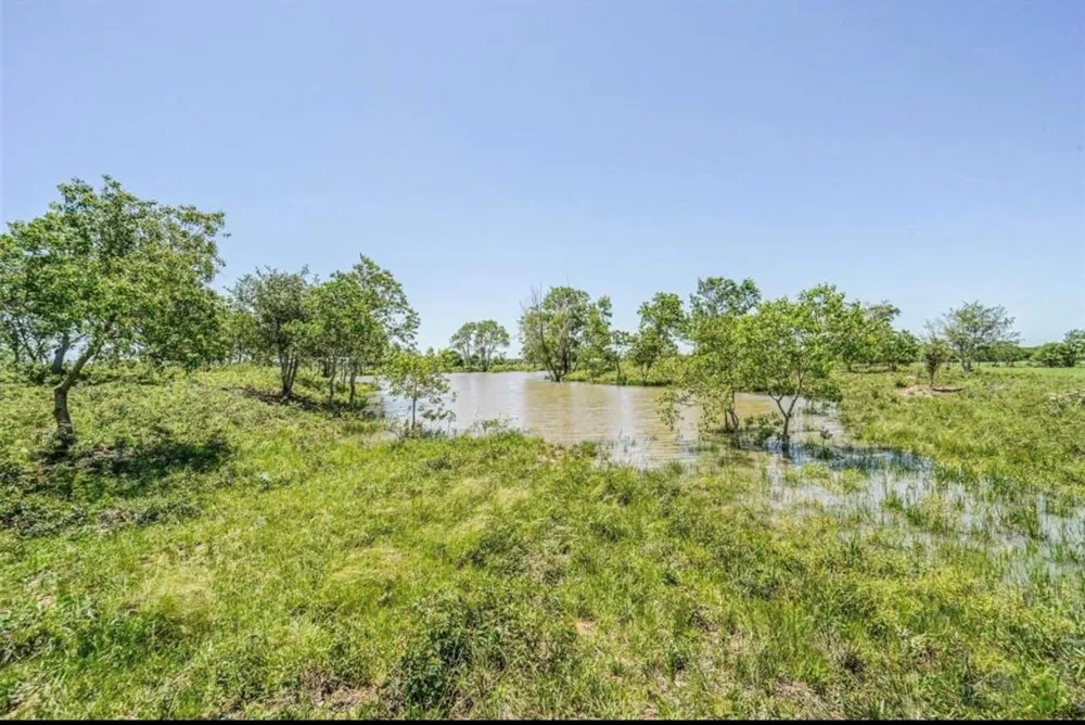 11811 Schmidt Road Waller, TX 77484