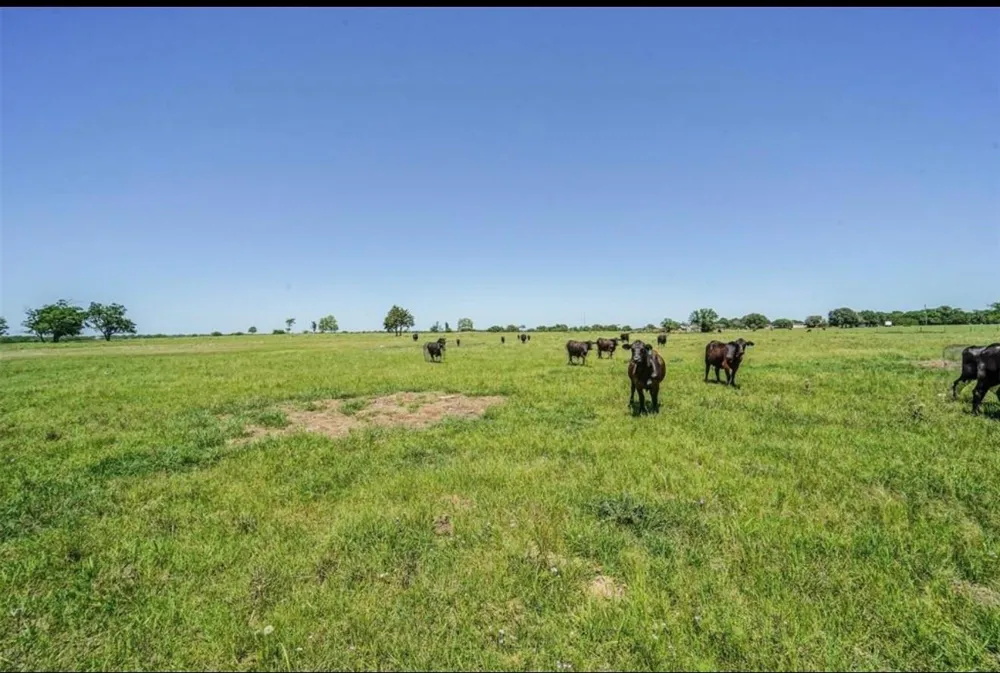 11811 Schmidt Road Waller, TX 77484