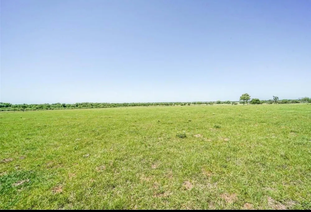 11811 Schmidt Road Waller, TX 77484