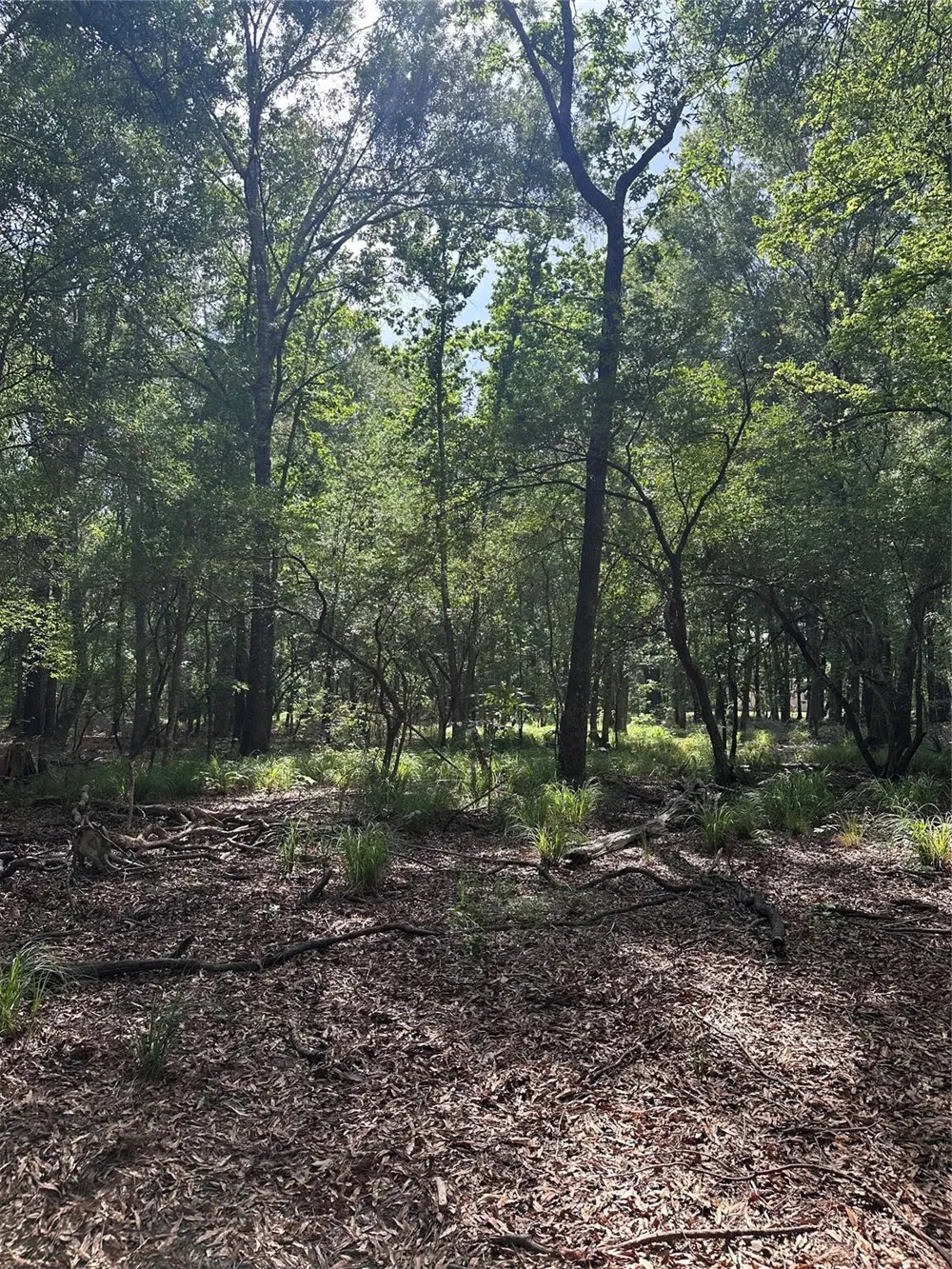 2518 Fm 943 Livingston, TX 77351